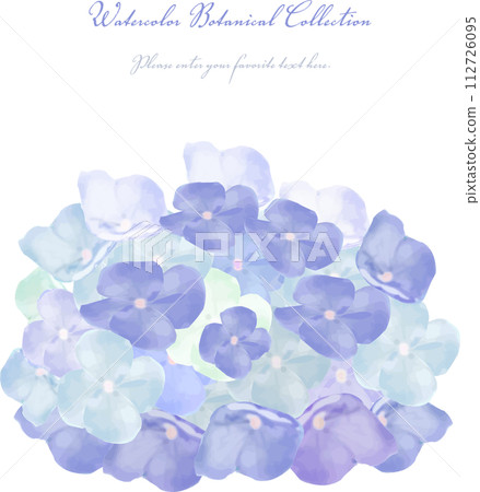 Illustration of blue hydrangea painted in watercolor 112726095