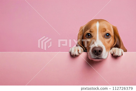 dog, love your pet day, banner, greeting card, social media, pink background 112726379