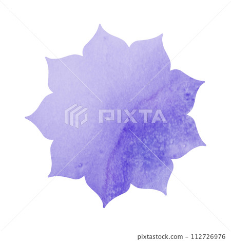 花卉圖案框架 112726976