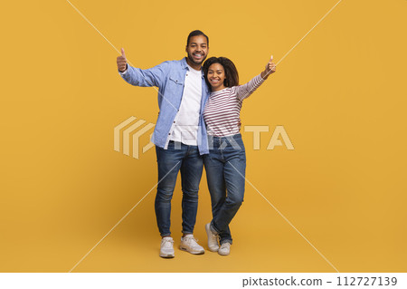 Great Choice. Portrait of happy black couple gesturing thumbs up at camera 112727139