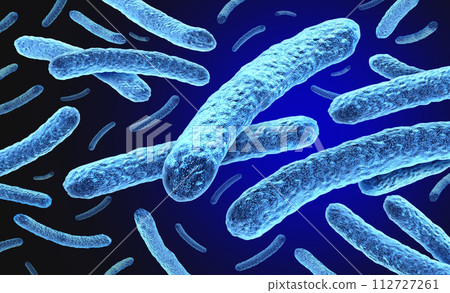 leprosy and Mycobacterium leprae Bacteria 112727261