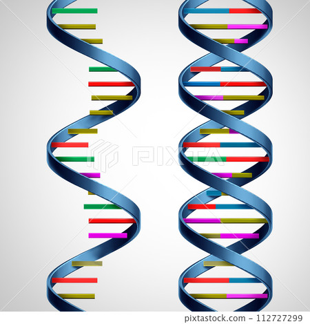 RNA And DNA 112727299