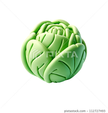 3D cabbage 112727493