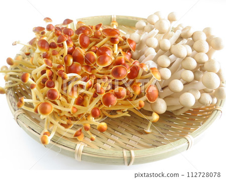 Assorted oyster mushrooms and shimeji mushrooms Assorted oyster mushrooms and shimeji mushrooms 112728078