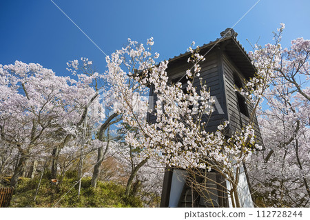 Spring scenery of Nagano Takato Castle Ruins Park Spring scenery of Nagano Takato Castle Ruins Park 112728244