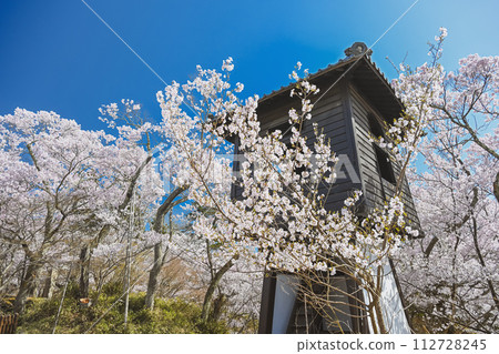 Spring scenery of Nagano Takato Castle Ruins Park 112728245