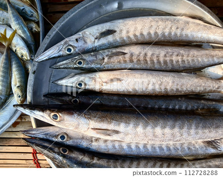 Barracuda or Seapike ( Sphyraenidae ) fish in a steel tray, Sea fishes in market, Thailand Barracuda or Seapike ( Sphyraenidae ) fish in a steel tray, Sea fishes in market, Thailand 112728288
