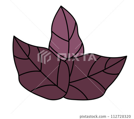 Purple Basil element. Plant with leaves. Spice, condiment and herb. Organic product. Cooking spicy ingredient. Vector flat illustration. Icon, logo, sticker. 112728320