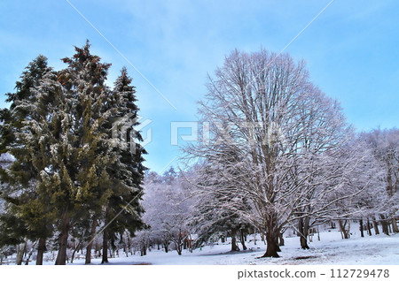 rain ice and snow 112729478