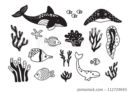 Hand Drawn Set of aquatic animal characters in flat style Hand Drawn Set of aquatic animal characters in flat style 112729693