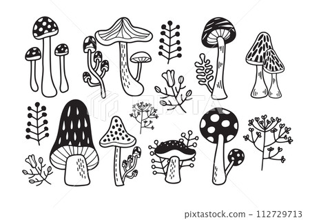 Hand Drawn Mushrooms or poisonous mushrooms in flat style Hand Drawn Mushrooms or poisonous mushrooms in flat style 112729713