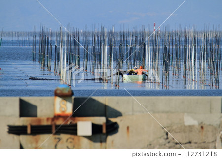 Omuta City Miike Port Nori picking, 112731218