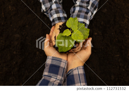 The child's hands carefully hold a small tree and the mother's hands help him protect nature. View from above. Hands hold a young tree seedling, protecting and saving it. Saving the planet. 112731532