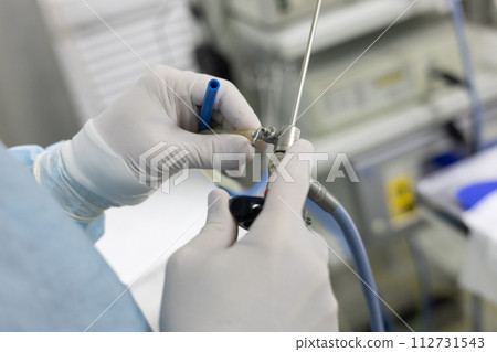 A veterinary surgeon adjusts an endoscopic instrument before starting surgery on an animal. Preparing a veterinary endoscopic surgeon for surgery. The veterinarian holds the endoscopic port. A veterinary surgeon adjusts an endoscopic instrument before starting surgery on an animal. Preparing a veterinary endoscopic surgeon for surgery. The veterinarian holds the endoscopic port. 112731543
