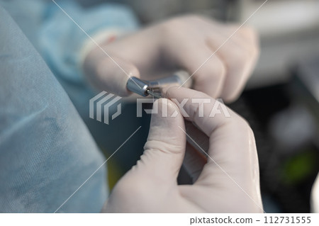 A veterinarian is changing the attachment on a fluoride treatment machine. The dentist puts on a brush to fluoride the pet's teeth. Oral care for pets in a veterinary clinic. A veterinarian is changing the attachment on a fluoride treatment machine. The dentist puts on a brush to fluoride the pet's teeth. Oral care for pets in a veterinary clinic. 112731555