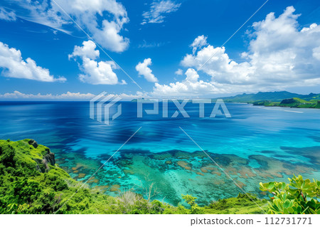 美麗的珊瑚礁海 美麗的珊瑚礁海 112731771