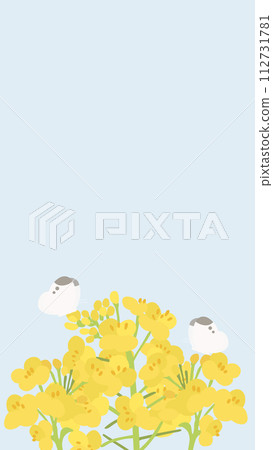 Vector illustration of rape blossom landscape 112731781