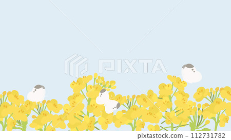 Vector illustration of rape blossom landscape 112731782