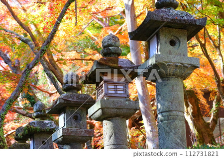 Tanzan Shrine (Tabumine, Nara Prefecture) colored with autumn leaves: stone lanterns at Torogatsuji Tanzan Shrine (Tabumine, Nara Prefecture) colored with autumn leaves: stone lanterns at Torogatsuji 112731821