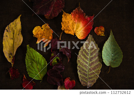 明亮的秋葉下落的葉子 112732612