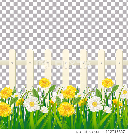 Spring green grass, daisy and dandelion flowers, white fence 112732837
