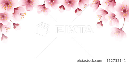 Floral Spring Cherry Flowers Blossom Border. Realistic banner with pink blossom background on soft light background for wallpaper design 112733141