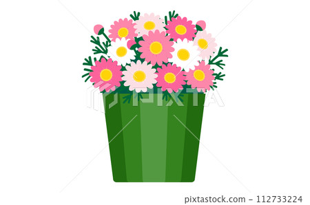 Pale pink marguerites in a green basket 112733224