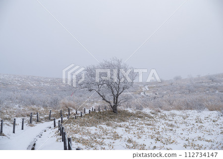 Beautiful snowy scenery Kirigamine Plateau 112734147