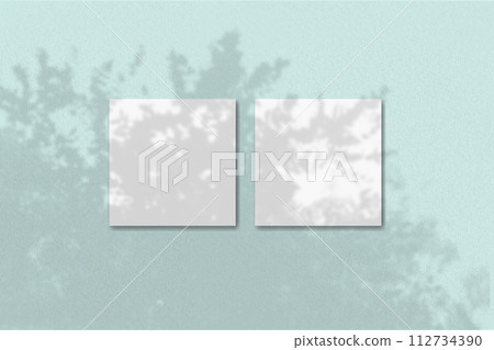 Natural light casts shadows from the plant on 2 square sheets of white textured paper lying on a blue textured background. Mockup 112734390