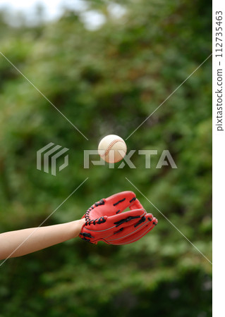 Baseball player in leather baseball glove catching a ball. Sport, activity and people concept 112735463