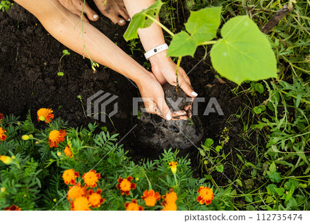 Hands planting a tree amidst flowers, showcasing nature, growth, and eco-friendliness. 112735474