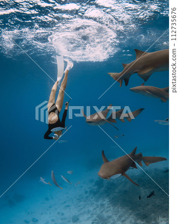 Woman dives with sharks in a tropical sea in the Maldives. Free diving with nurse sharks 112735676