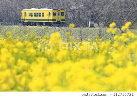 夷隅鐵道「三月中旬沿線風景」油菜花和黃色列車 112735721