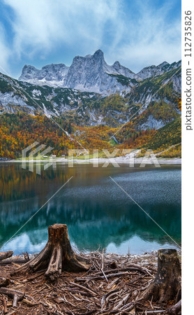 Tree stumps after deforestation near Hinterer Gosausee lake, Upper Austria. Autumn alpine view of mountain lake with clear transparent water and reflections. Dachstein summit and glacier in far. Tree stumps after deforestation near Hinterer Gosausee lake, Upper Austria. Autumn alpine view of mountain lake with clear transparent water and reflections. Dachstein summit and glacier in far. 112735826