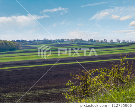 Spring rural landscape with fields, farmlands, village outskirts, flowering trees, hilly meadows. Chernivtsi region, Ukraine. Spring rural landscape with fields, farmlands, village outskirts, flowering trees, hilly meadows. Chernivtsi region, Ukraine. 112735906