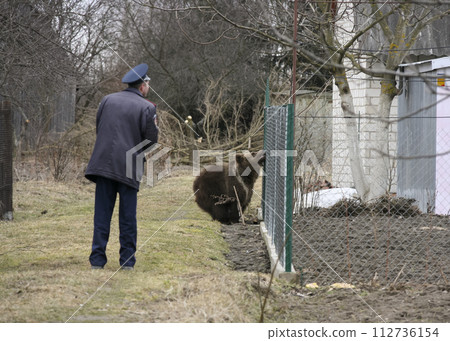 Ukrainian policeman and bear 112736154
