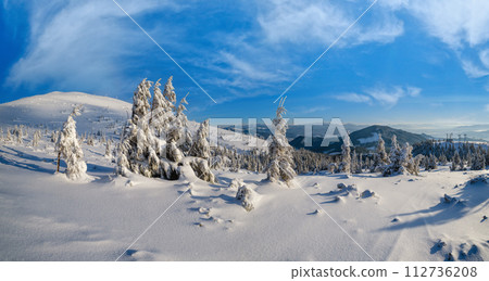 Sunrise mountain skiing freeride slopes and fir tree groves near alpine resort panorama. Sunrise mountain skiing freeride slopes and fir tree groves near alpine resort panorama. 112736208