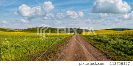 Spring countryside view with dirty road, rapeseed yellow blooming fields, village, hills. Ukraine, Lviv Region. 112736337