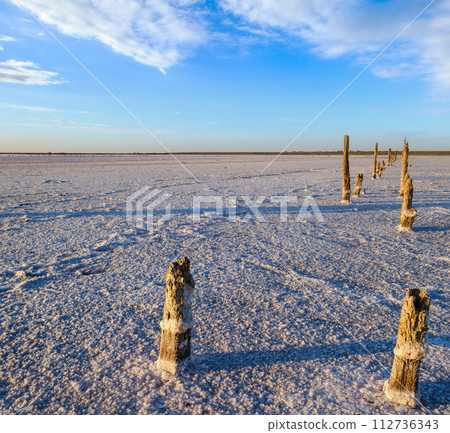 Sunset Genichesk pink  salty lake, Ukraine 112736343