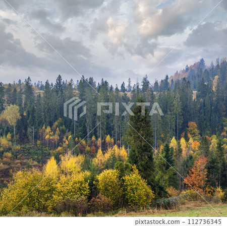 Cloudy and foggy autumn mountain scene. Peaceful picturesque traveling, seasonal, nature and countryside beauty concept scene. 112736345