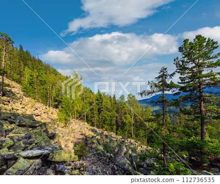 Summer mountain view (Carpathian, Ukraine). 112736535