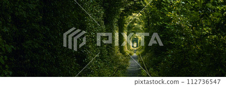 Green tunnel of trees growing above the railway. Light at the end of a tunnel made of tree branches. Green tunnel of trees growing above the railway. Light at the end of a tunnel made of tree branches. 112736547