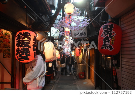 Shinjuku / Omoide Yokocho 112737192