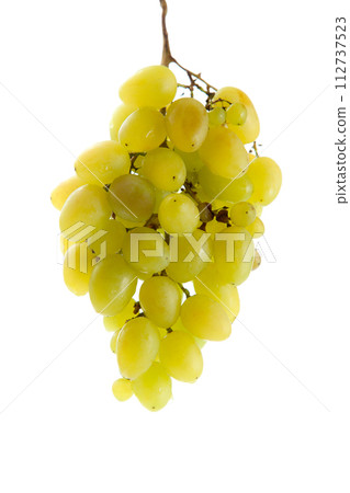 Bunch of organic green grapes isolated on white background. Bunch of organic green grapes isolated on white background. 112737523