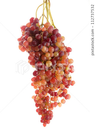 Bunch of organic pink grapes isolated on white background. 112737532