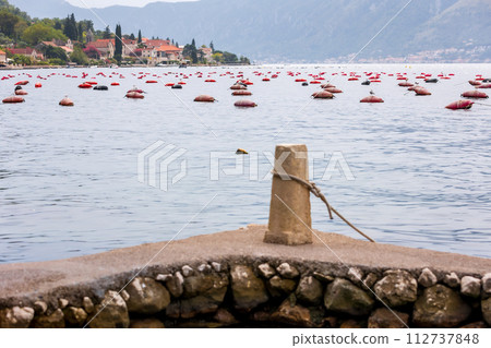 Mussel and oyster farms, Montenegro Bay of Kotor Mussel and oyster farms, Montenegro Bay of Kotor 112737848