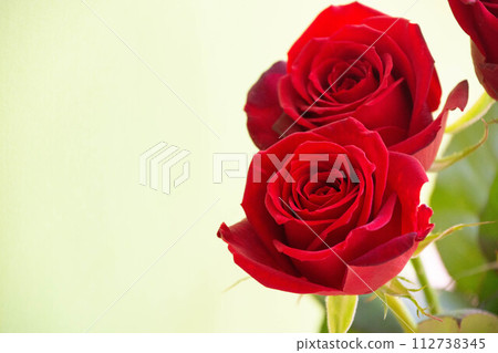 Red rose Red rose 112738345