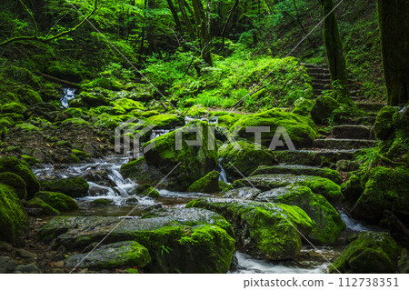 Mt. Mitake Mitake Gorge Rock Garden [Ome City, Tokyo] 112738351