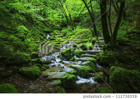 綠意盎然的御嶽山岩石庭園【東京·青梅市】 綠意盎然的御嶽山岩石庭園【東京·青梅市】 112738359