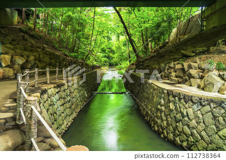 Beautiful fresh greenery at Todoroki Keikoku Park [Setagaya Ward, Tokyo] 112738364